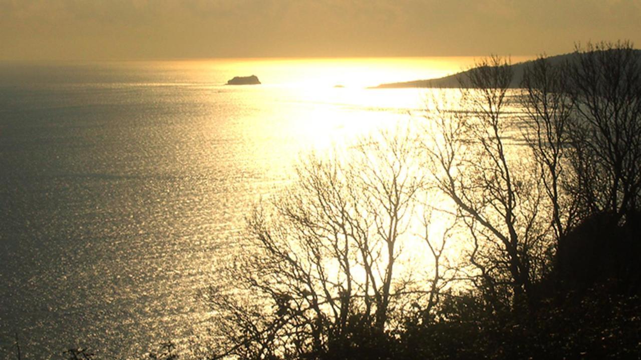 Beautiful Beachside one bedroom apartment Shaldon Extérieur photo
